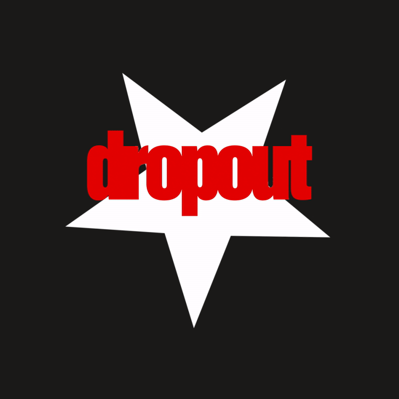 DROPOUT Dropout